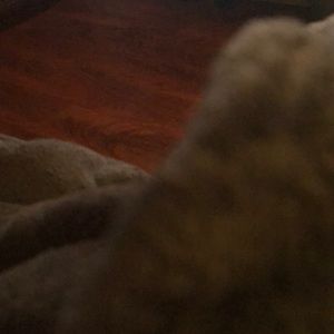 Meet your Posher, Jane